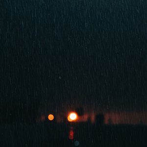 Deep Night Resonance over Forest Road