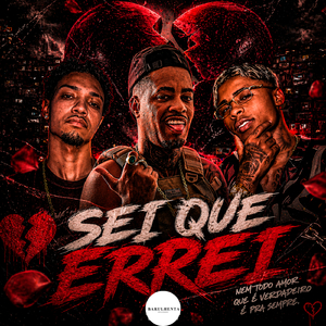 Sei Que Errei