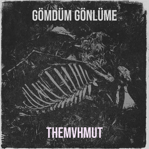 Gömdüm Gönlüme