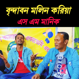 বৃন্দাবন মলিন করিয়া