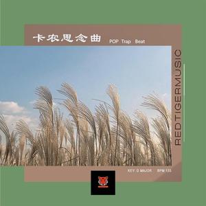 【Free】“卡农思念曲” POP Type Beat