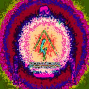 Capacitor (Simple Circuit)