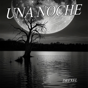 Una Noche