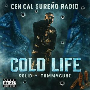 Cold Life (feat. Solid & TommyGunz)