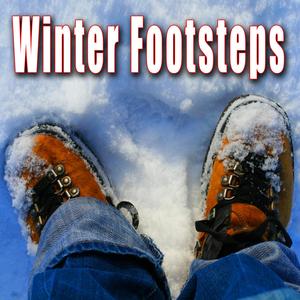 Creaking Footsteps Passing by on Dry Snow