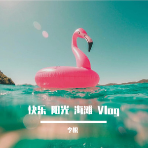 快乐 阳光 海滩 Vlog