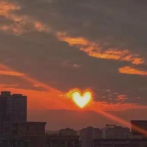 《多情种》