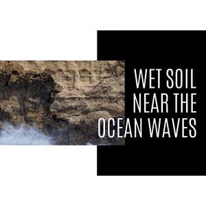 Parallel to the Chirps