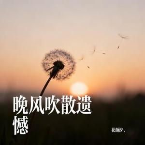 晚风吹散遗憾