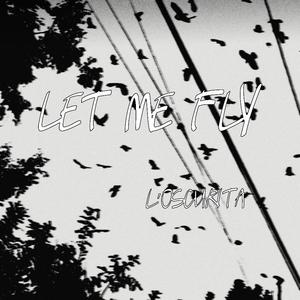 LET ME FLY