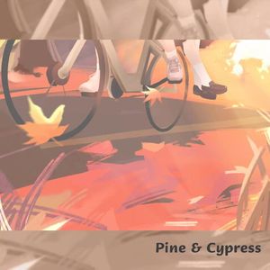 二人の帰り道（cover GIN）