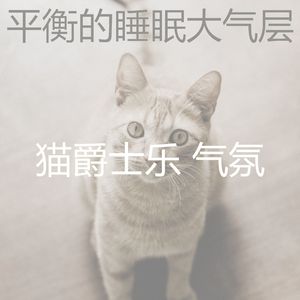 抚慰的猫回忆
