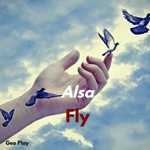 Fly