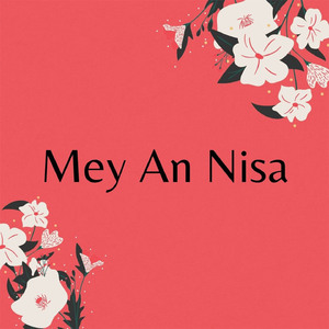 Mey An Nisa - Terimakasih Suamiku