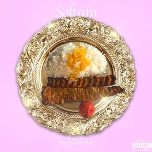 Soltani