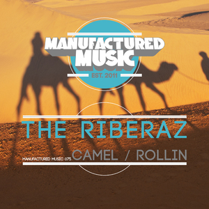 Camel (Original Mix)