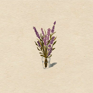 사라진 우리에게