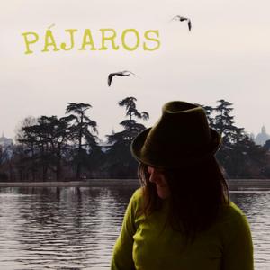 Pájaros