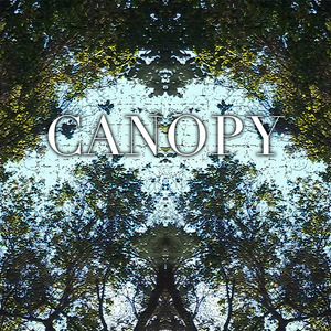 Canopy