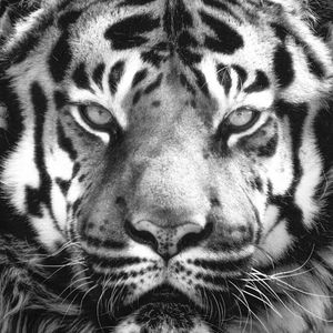 凶（Prod by Red killer）