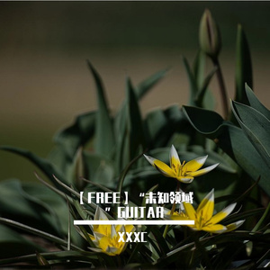 【FREE】“未 知 领 域 ”GUITAR