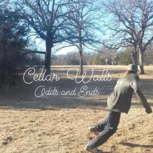 Bad Badger (Instrumental)