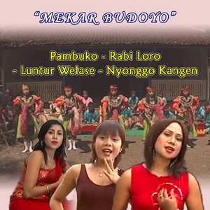 Pambuko / Rabi Loro / Luntur Welase / Nyonggo Kangen (From "Mekar Budoyo")