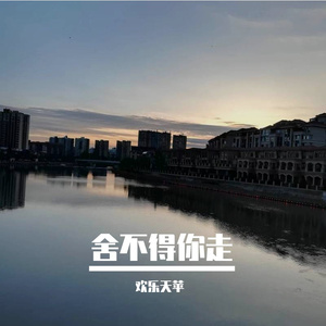 舍不得你走 伴奏