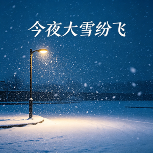 今夜大雪纷飞