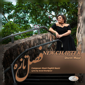 New Chapter (feat. Basir Faghih Nasiri)