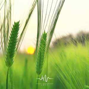 河水流淌 (轻松舒缓玻璃琴)