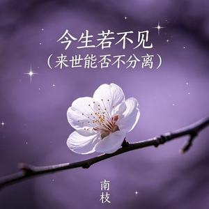 今生若不见（来世能否不分离）