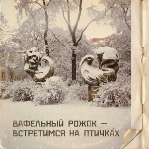 Встретимся на птичках