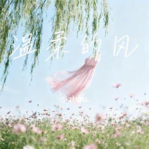 温柔的风 (Cover 程佳佳)