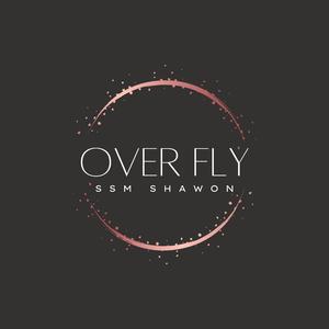 OverFly