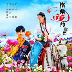 格桑花的秘密-慢四步舞曲 (Remix)