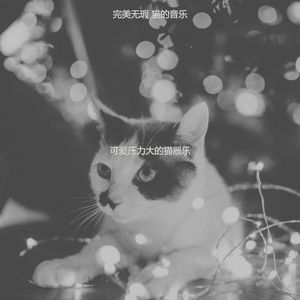 温和压力大的猫梦想