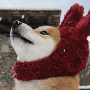 南方车站-翻唱恩几