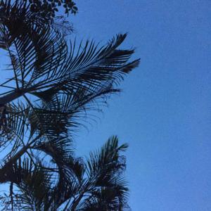 Rabpit-Dream（赵子康. / Rabpit remix）