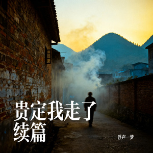 贵定我走了续篇