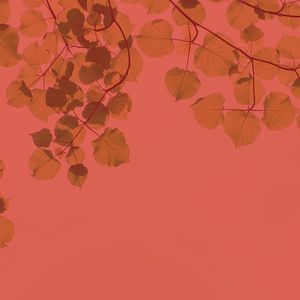 温和周日的早午餐梦想