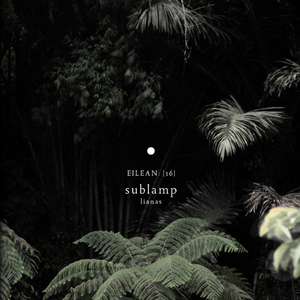 our bodies draped in moss and cloud