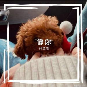 像你