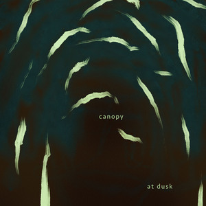 Canopy (Ambient Sleep)