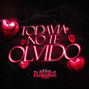 Todavia No Te Olvido