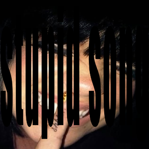 STUPID SONG