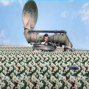 Narcis (2024 LIVE at Baby Microbe Recording Studio (London) by Andrea Rocca)