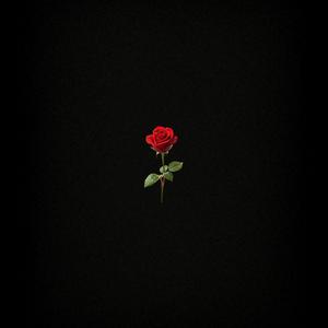 pk???????????????????