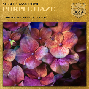 Purple Haze (Extended Mix)