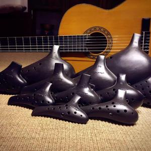 公鸡与母鸡（Il Gallo e la Gallina） - 陶笛曦曦（翻自 Emiliano Bernagozzi）